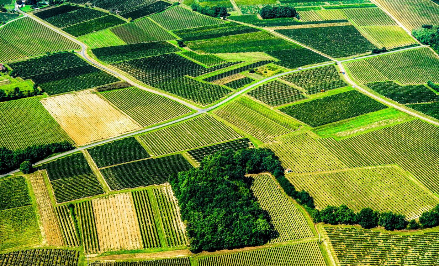 NASA technology can detect plant diseases from above