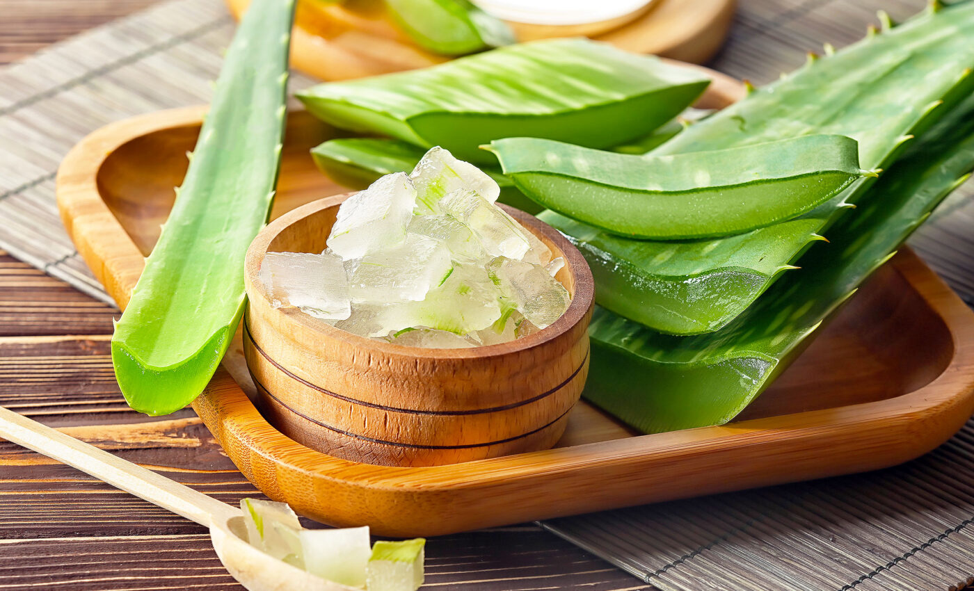 Aloe vera: The hidden powers of this natural pest control