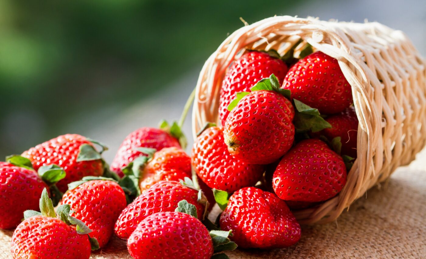 Super-sized fruit: Strawberries weigh 60 percent more than they did 12 years ago