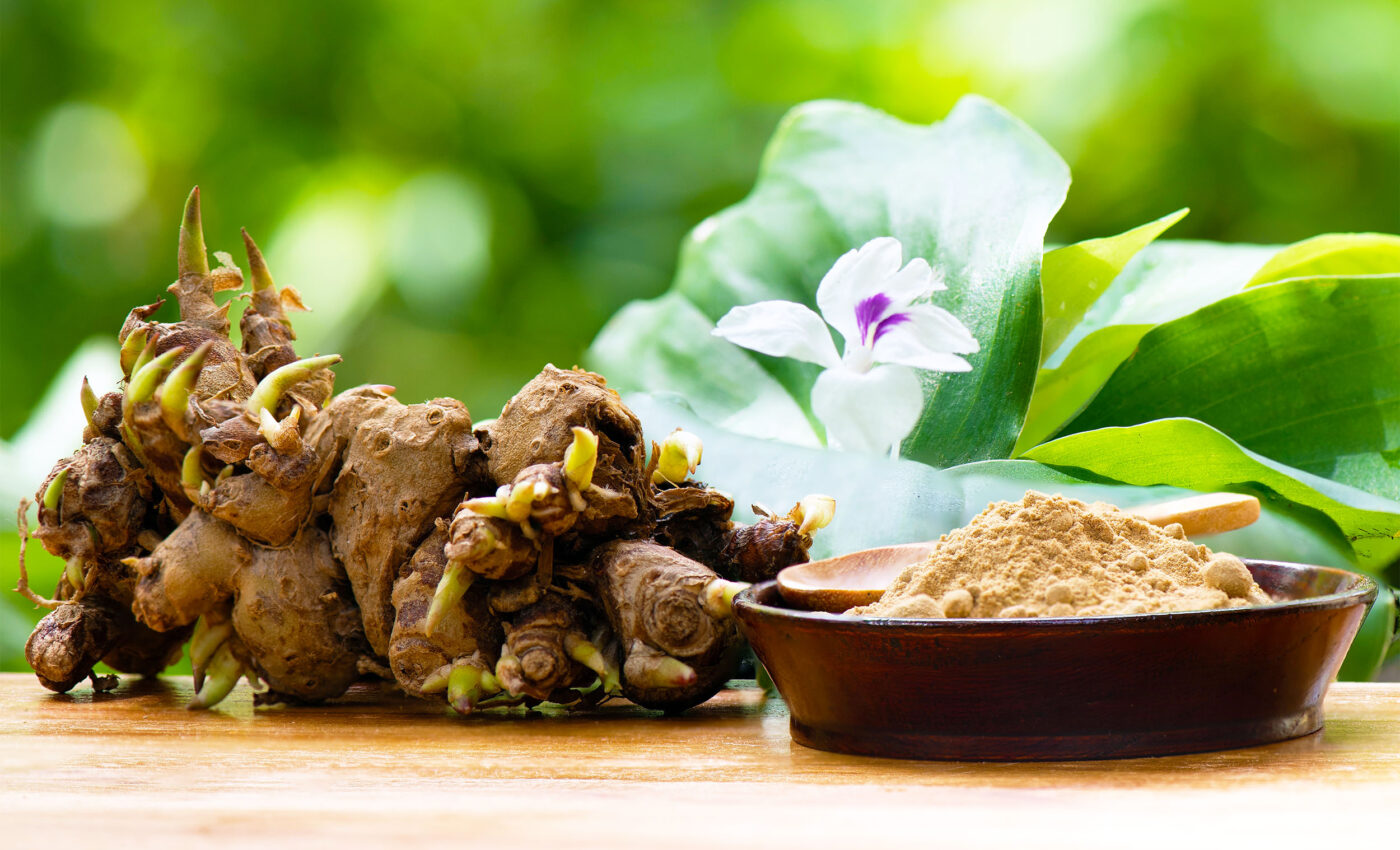 Anti-cancer effects discovered in Kencur ginger that could revolutionize treatment