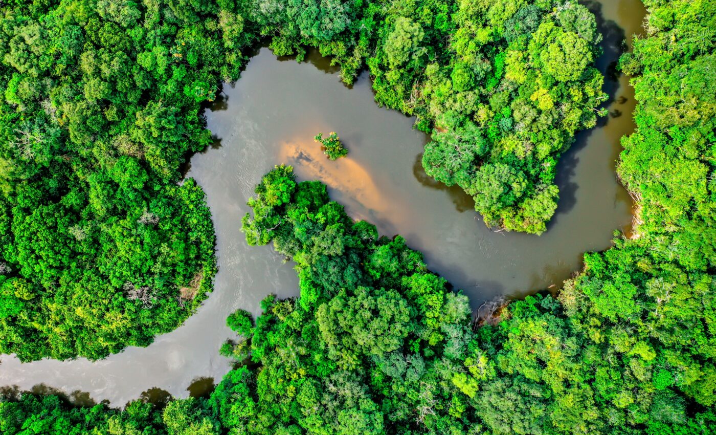 Extreme weather can flip forests from carbon sinks to carbon sources