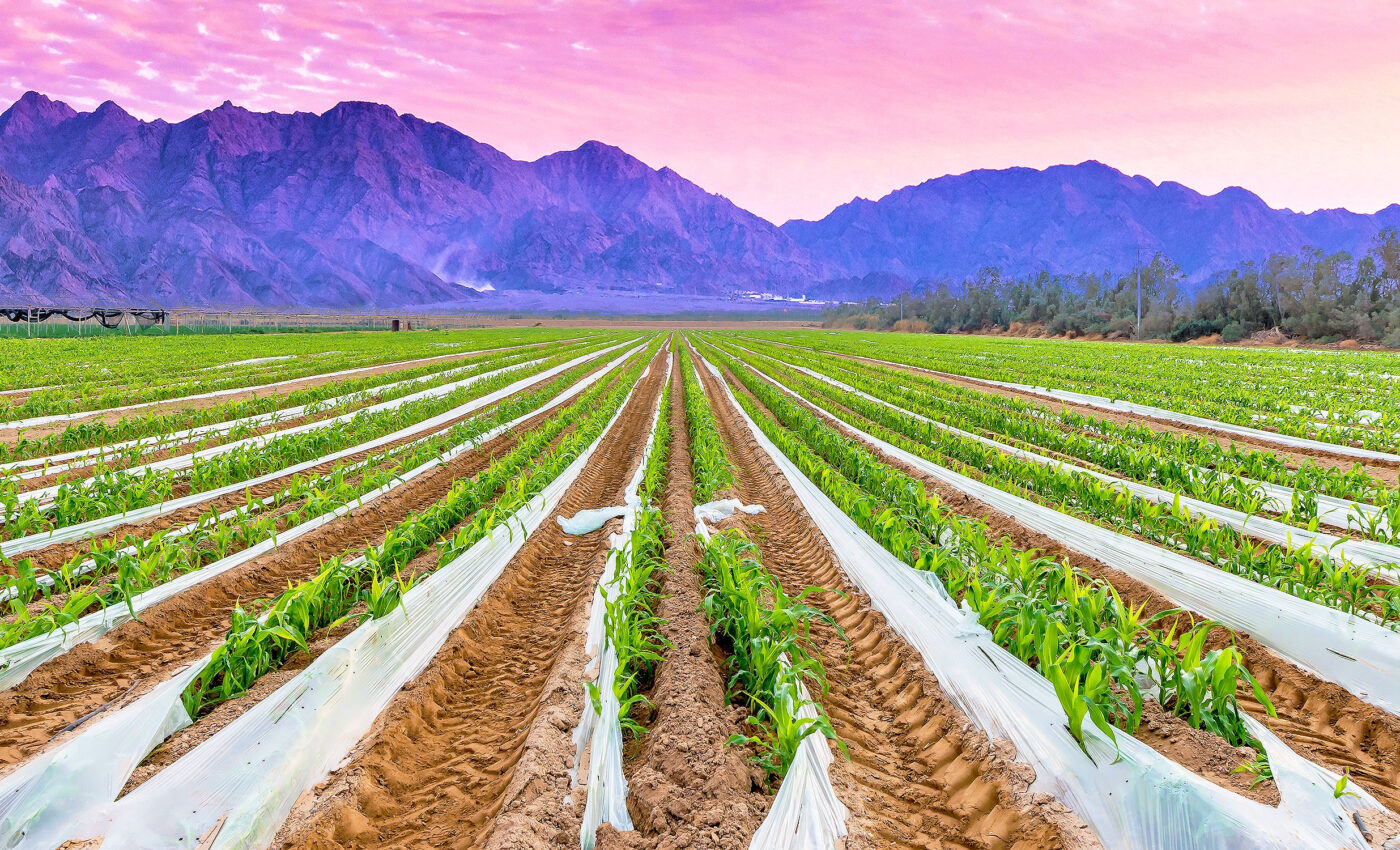 The alarming impact of plastics used in modern agricultural practices