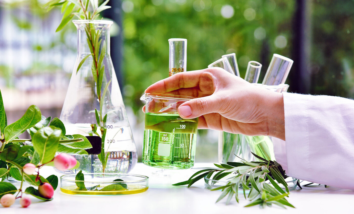 Increasing plant extinction threatens the future of medicine and human health