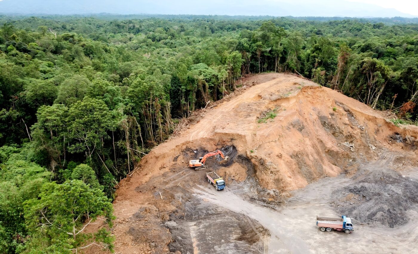 Amazon deforestation has far-reaching impacts