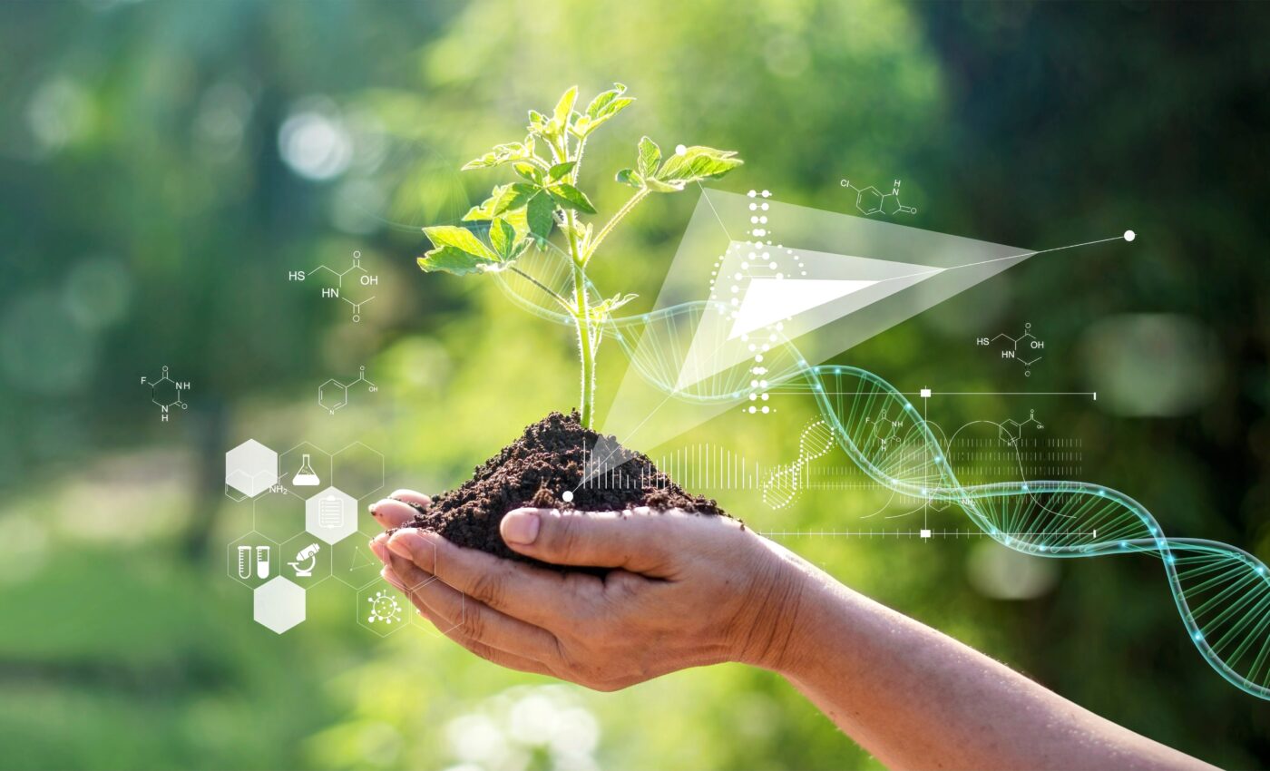 Beneficial plant bacteria likely to decline due to climate change