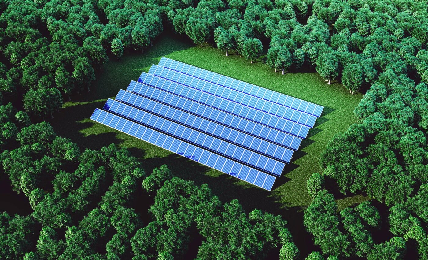 Which is better – planting forests or building solar farms?