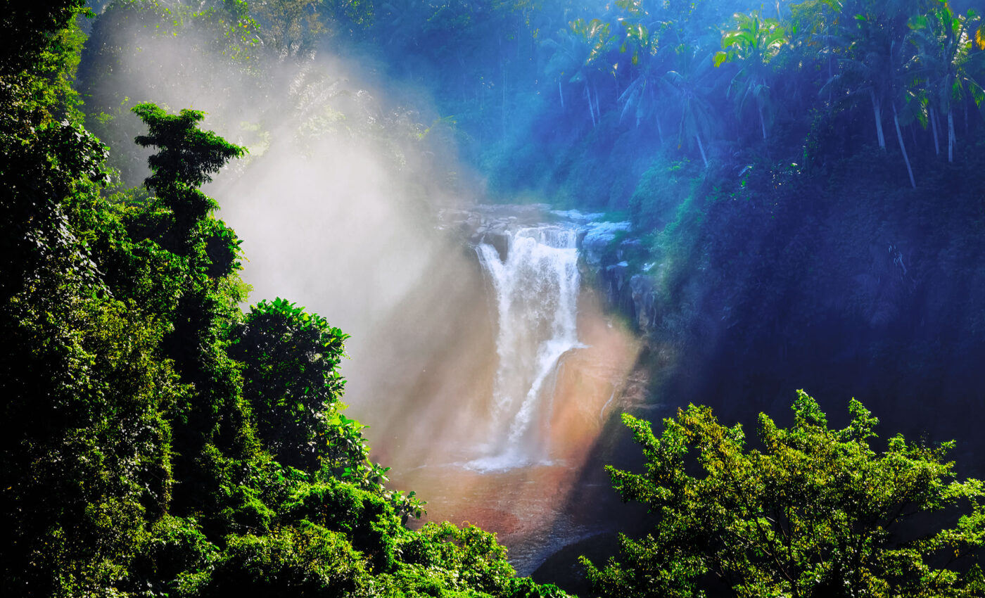 Lasers and AI locate forest that was lost for 22 million years