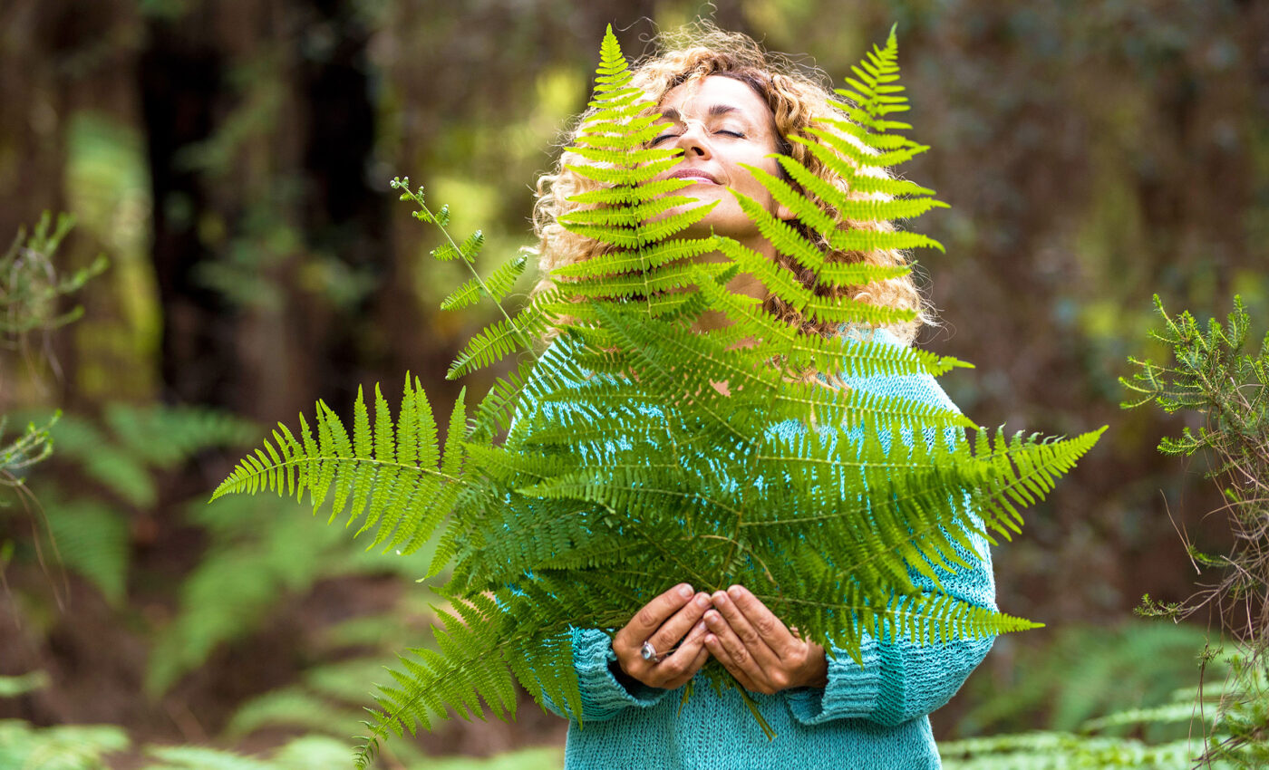 Secrets of human aging discovered in plant leaves