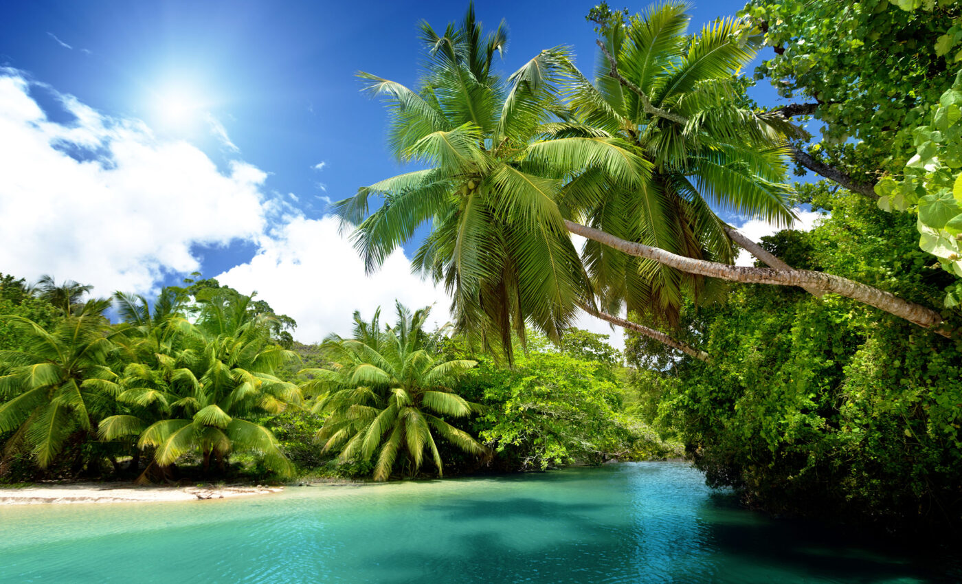 Plant life on islands loses diversity when humans arrive