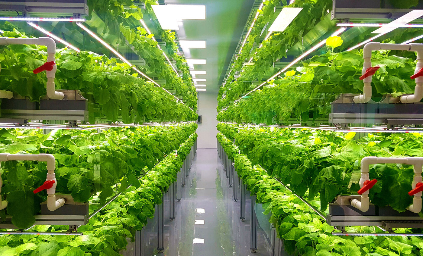 Urban agriculture's carbon footprint is 6x greater than normal farms