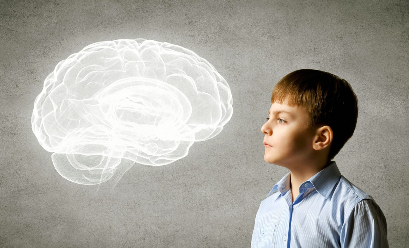 Study reveals how childhood stress changes the brain