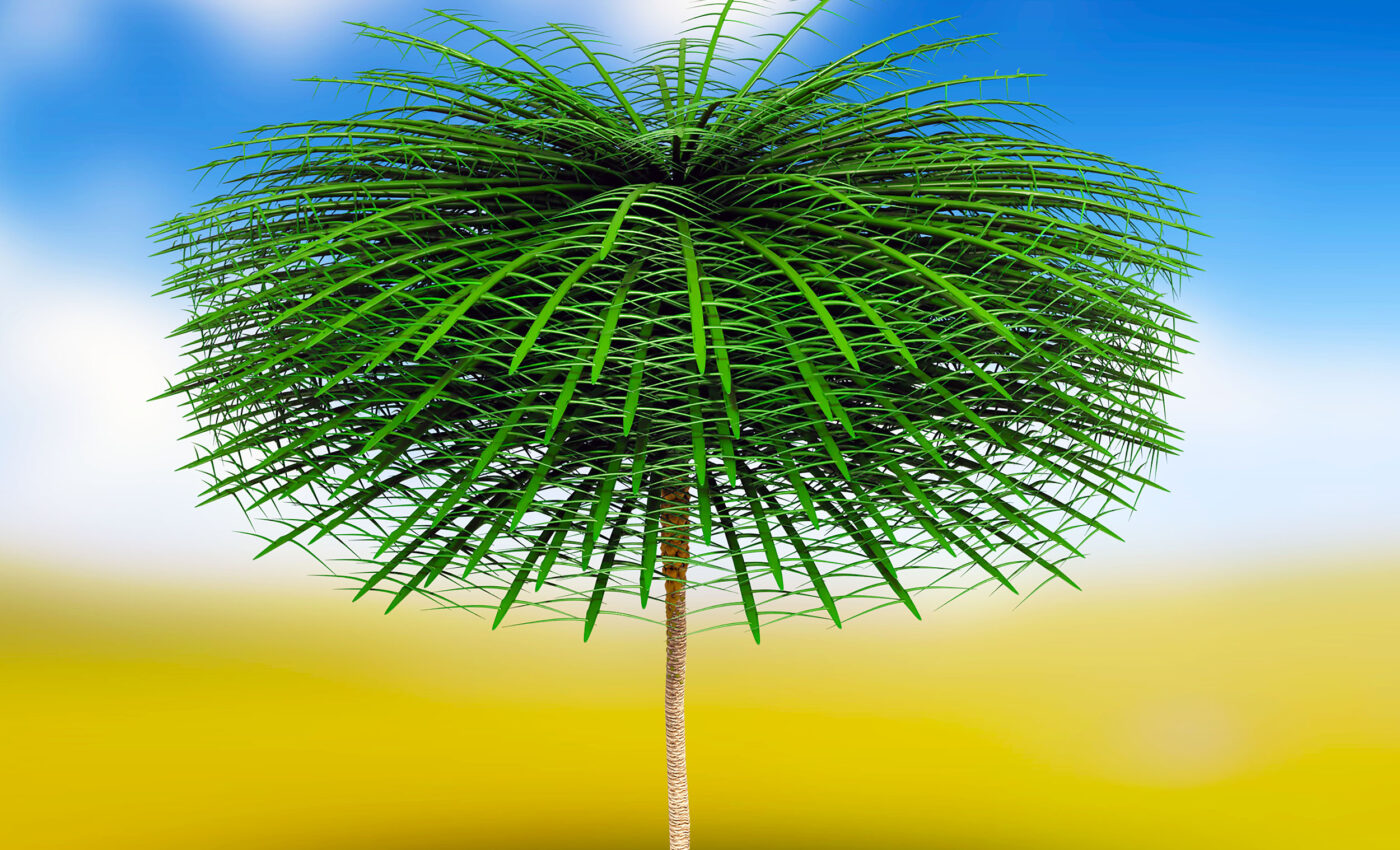 Some ancient trees looked like nothing ever seen by humans