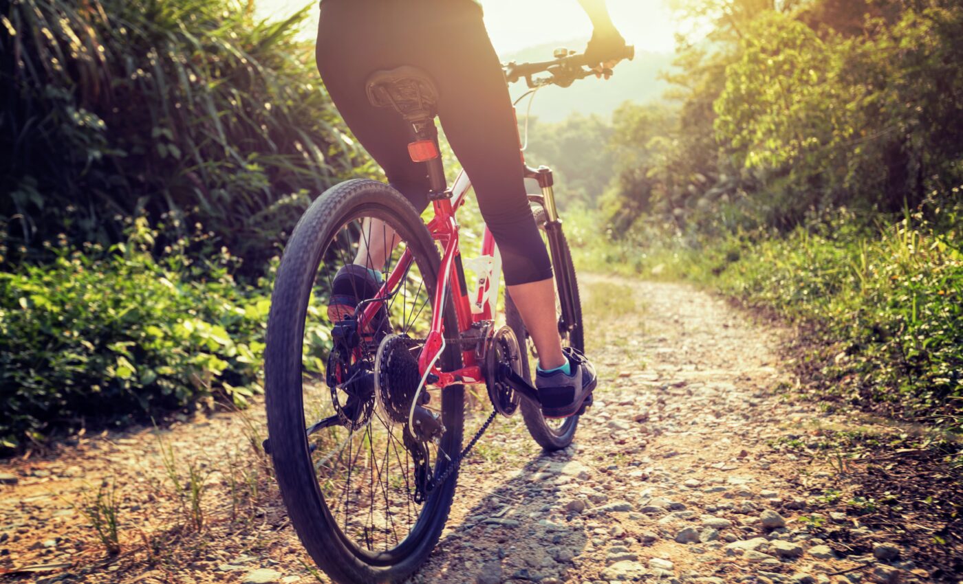 Physical activity lowers the risk of COVID-19 infection