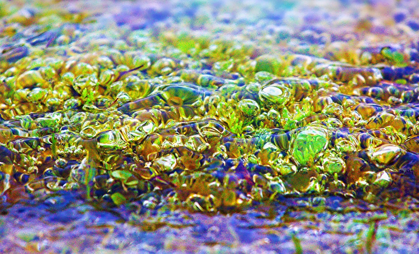 Arctic seabed bacteria play a crucial role in sustaining life on Earth