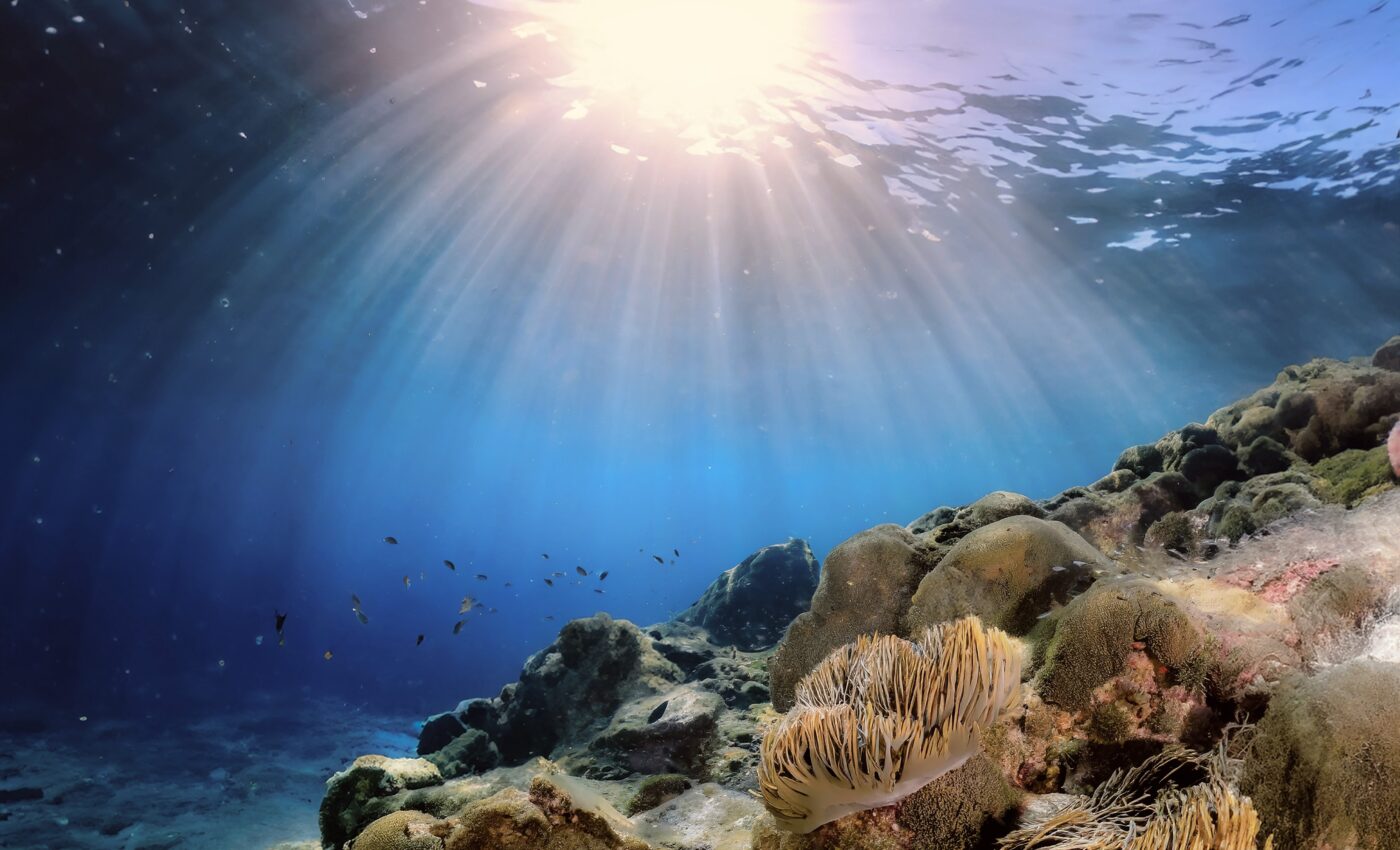 'History book' of the ocean reveals future impacts of warming