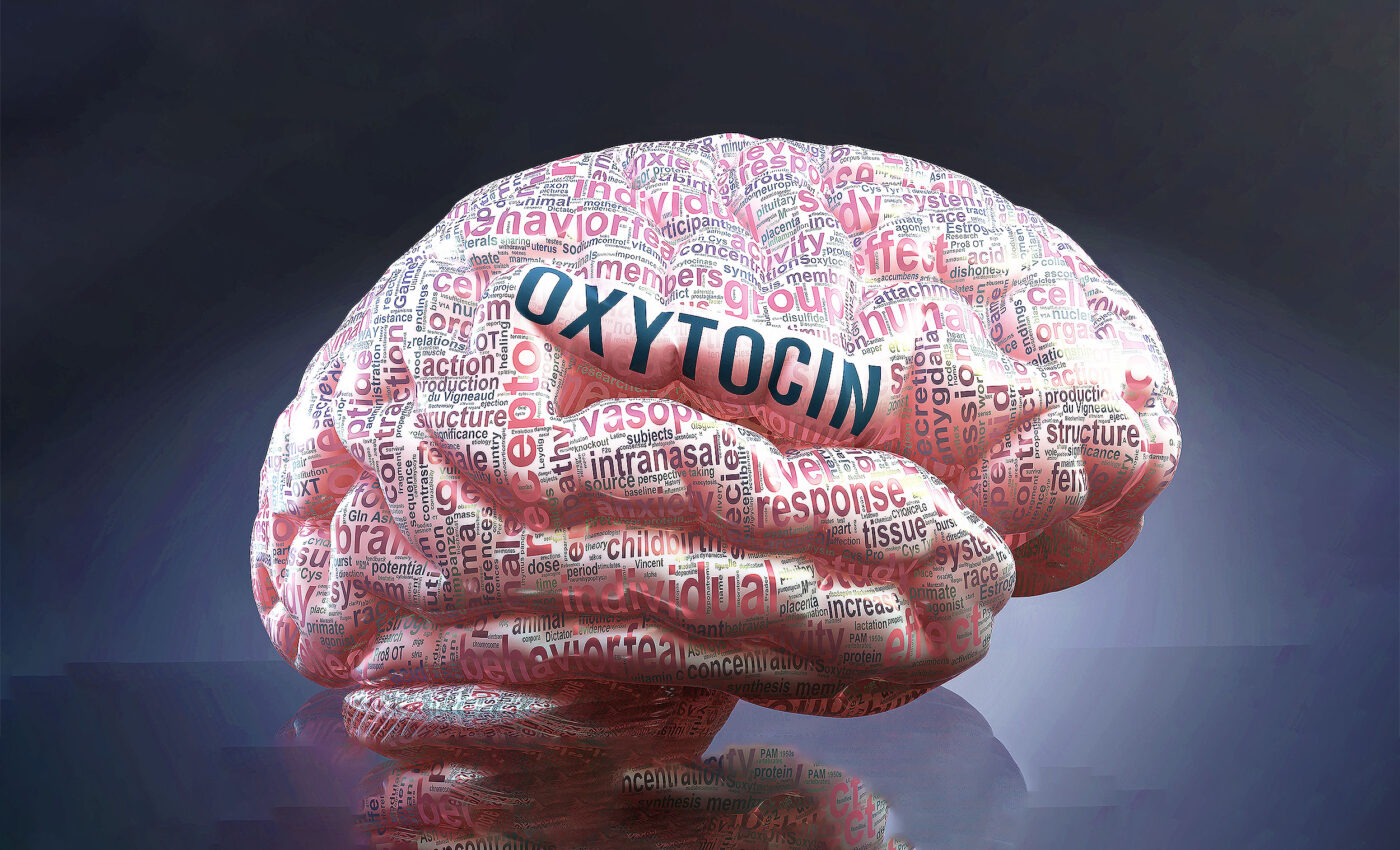 Oxytocin hormone holds the keys to your heart, and also to your mind