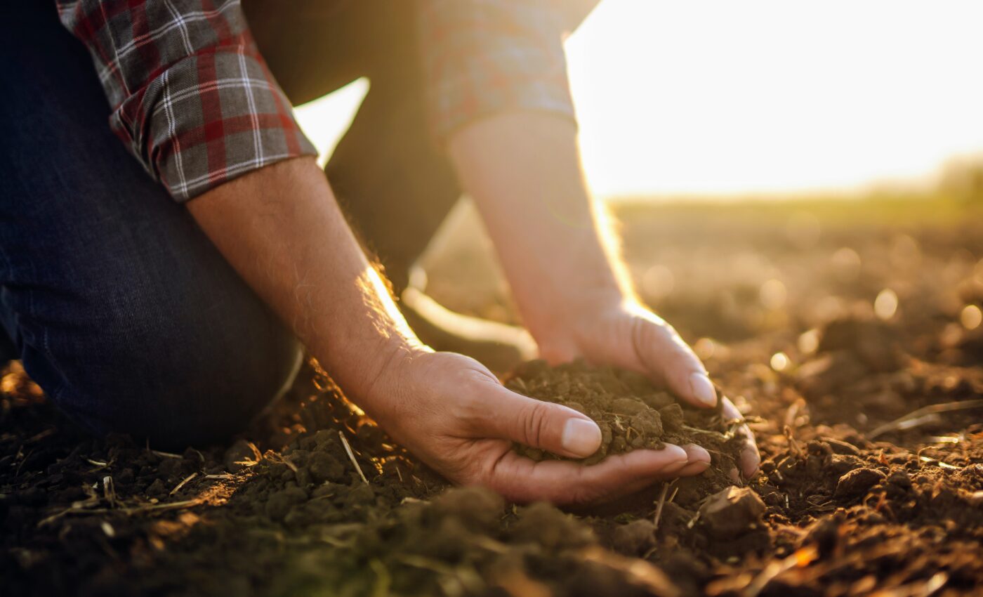 Potassium depletion in agricultural soils threatens food security