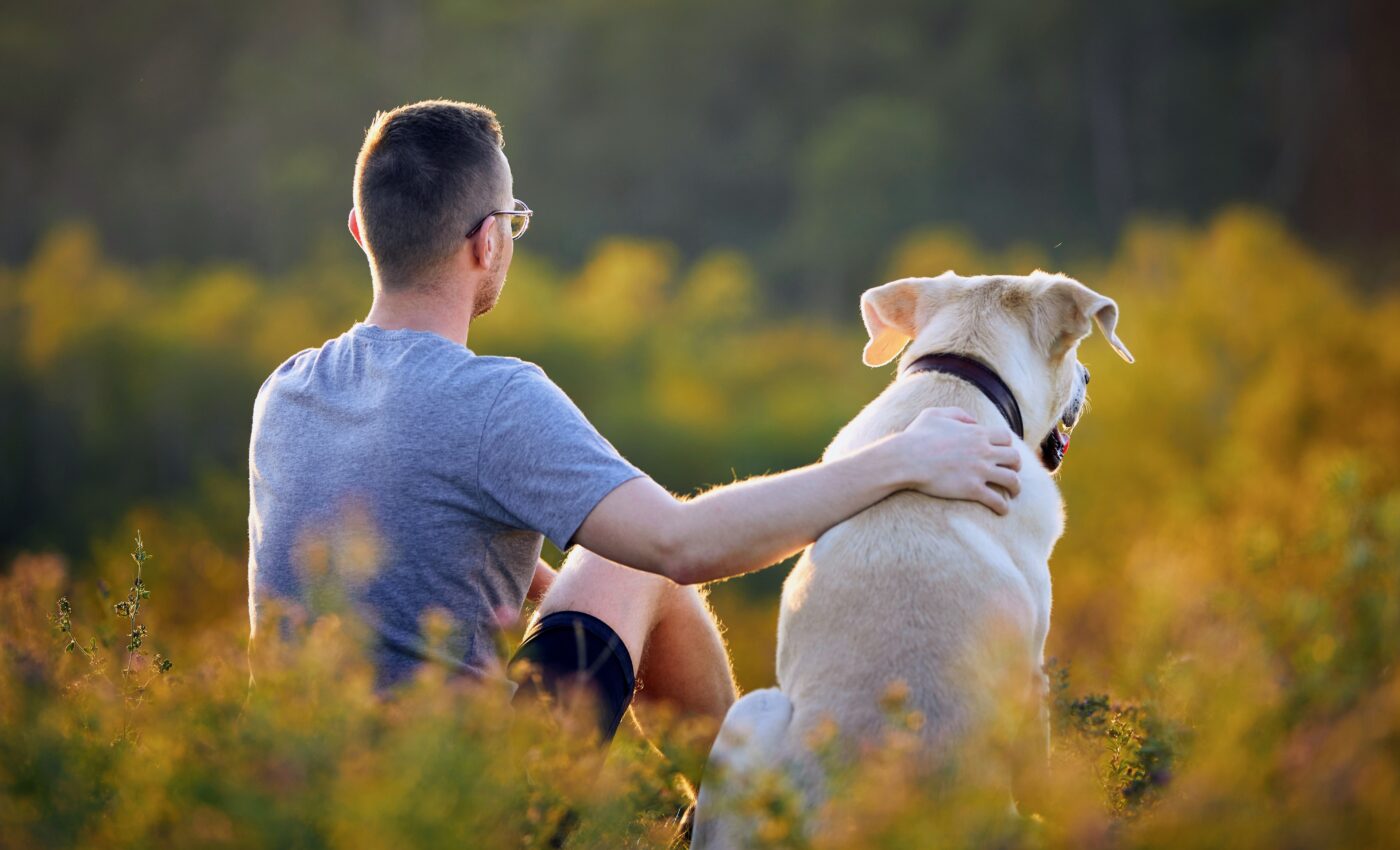 Homeless pet owners need better options to protect their animals