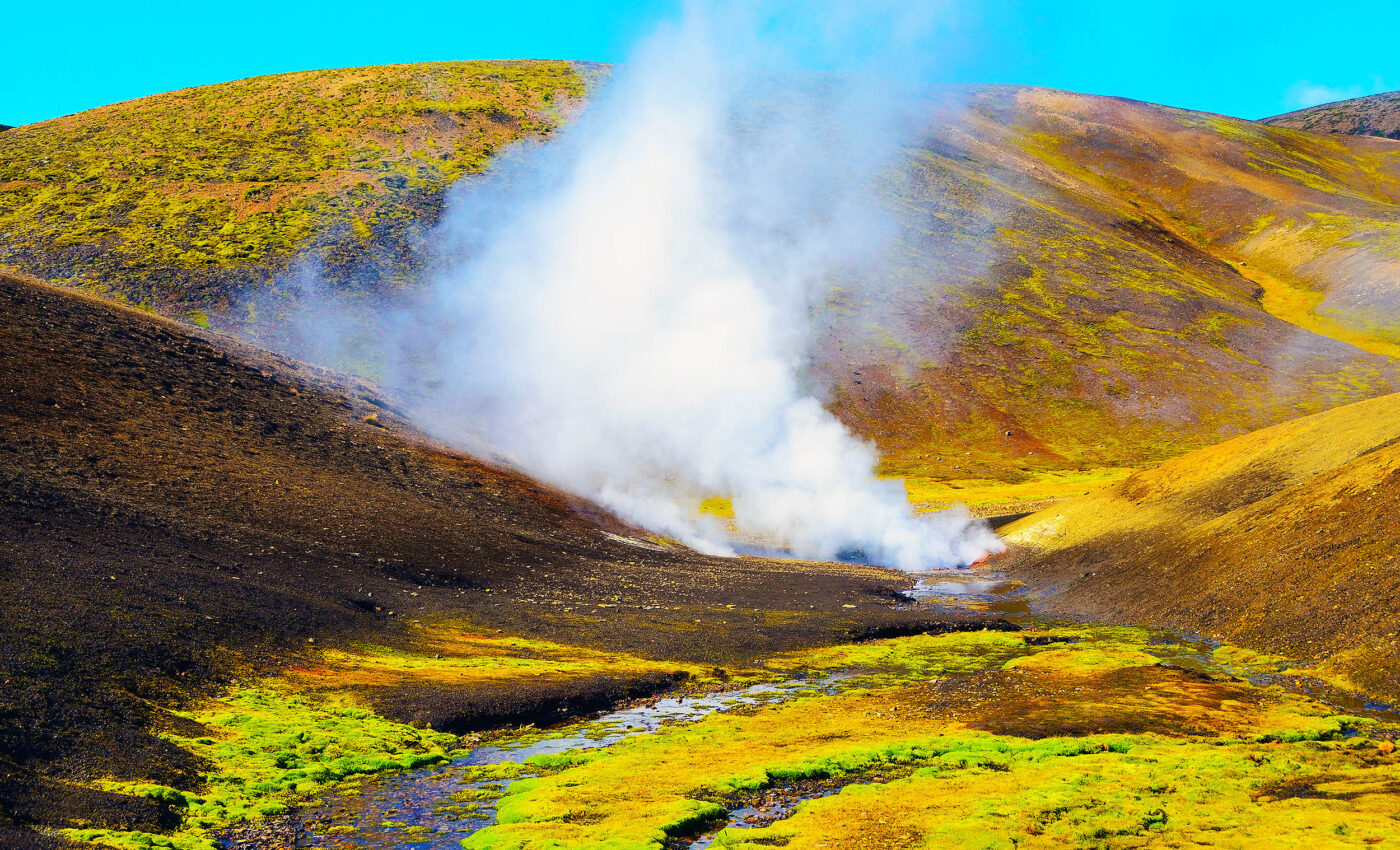 Diversity of microbial life is increasing as the Earth's soil warms