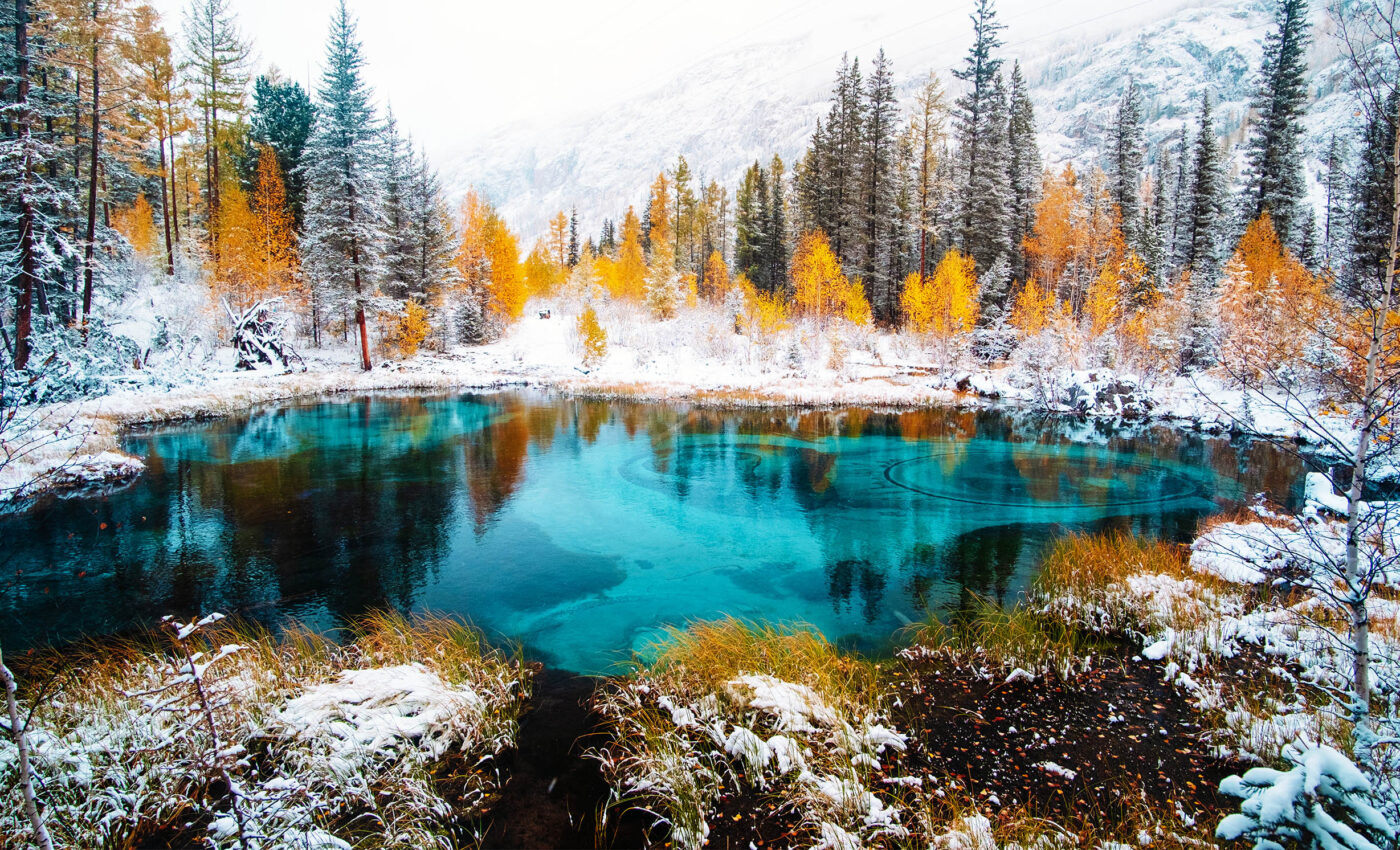 Just a single degree of warming will wreak havoc in boreal forests