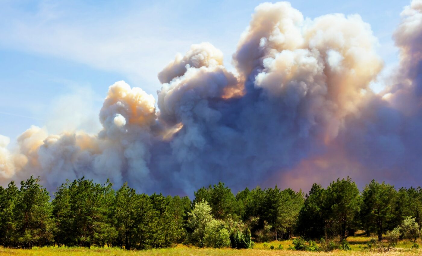 Europe's deadly heat waves linked to melting sea ice