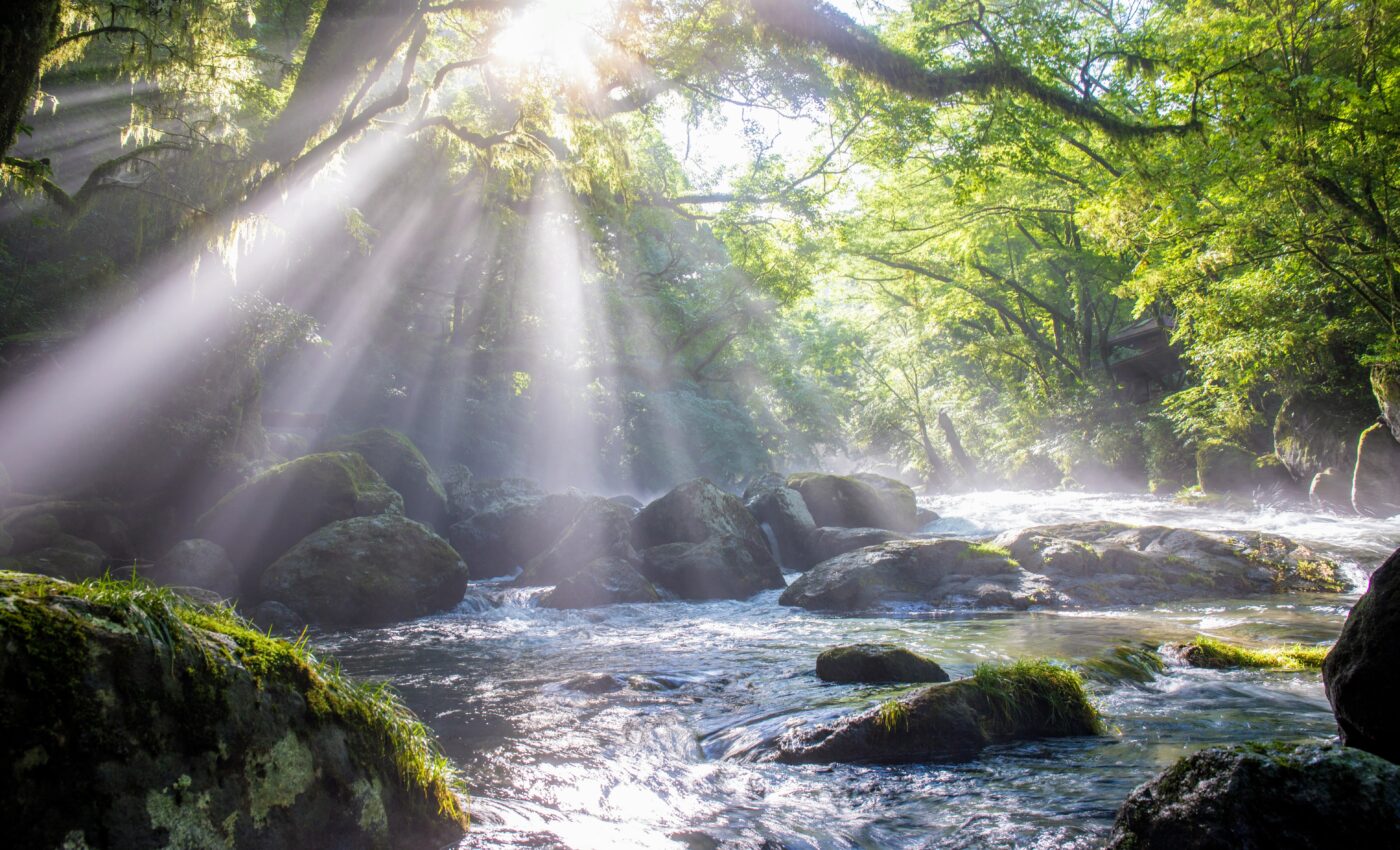 Global warming is disrupting the seasonal flow of rivers