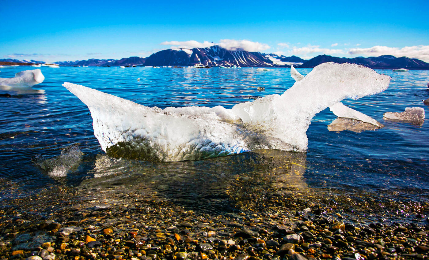 The Arctic will be ice-free in only a few more years, much sooner than once thought