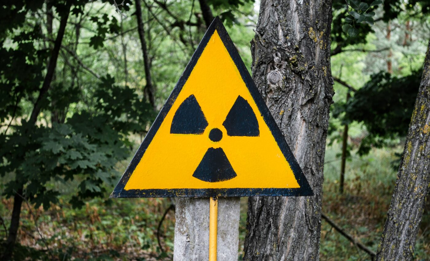 Chernobyl is teeming with worms resistant to radiation