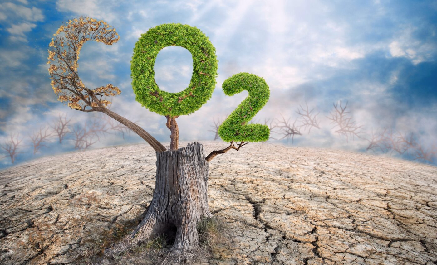 Global carbon dioxide emissions hit a record high in 2023