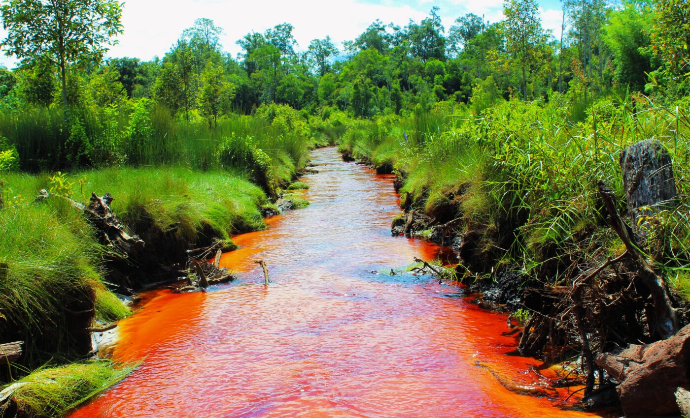 Peatland canals are hidden hotspots for carbon emissions