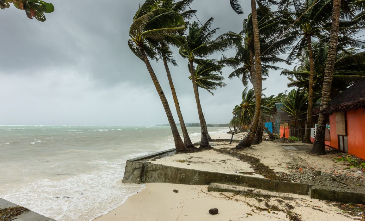 How land conditions affect the Asian monsoon climate