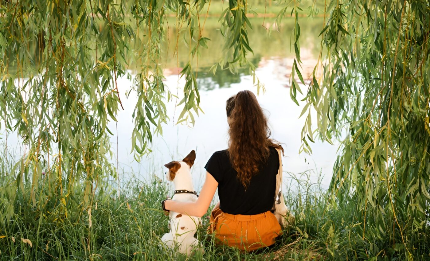 Interactions with dogs relieve stress and heighten concentration