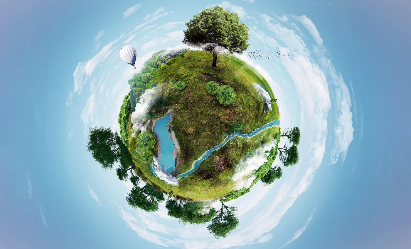 Global forests are rapidly changing and repercussions are looming