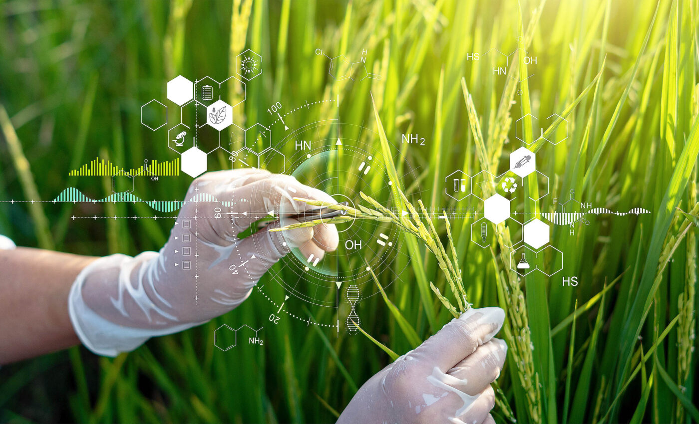 Plant genetics research just got a lot easier with a simple trick