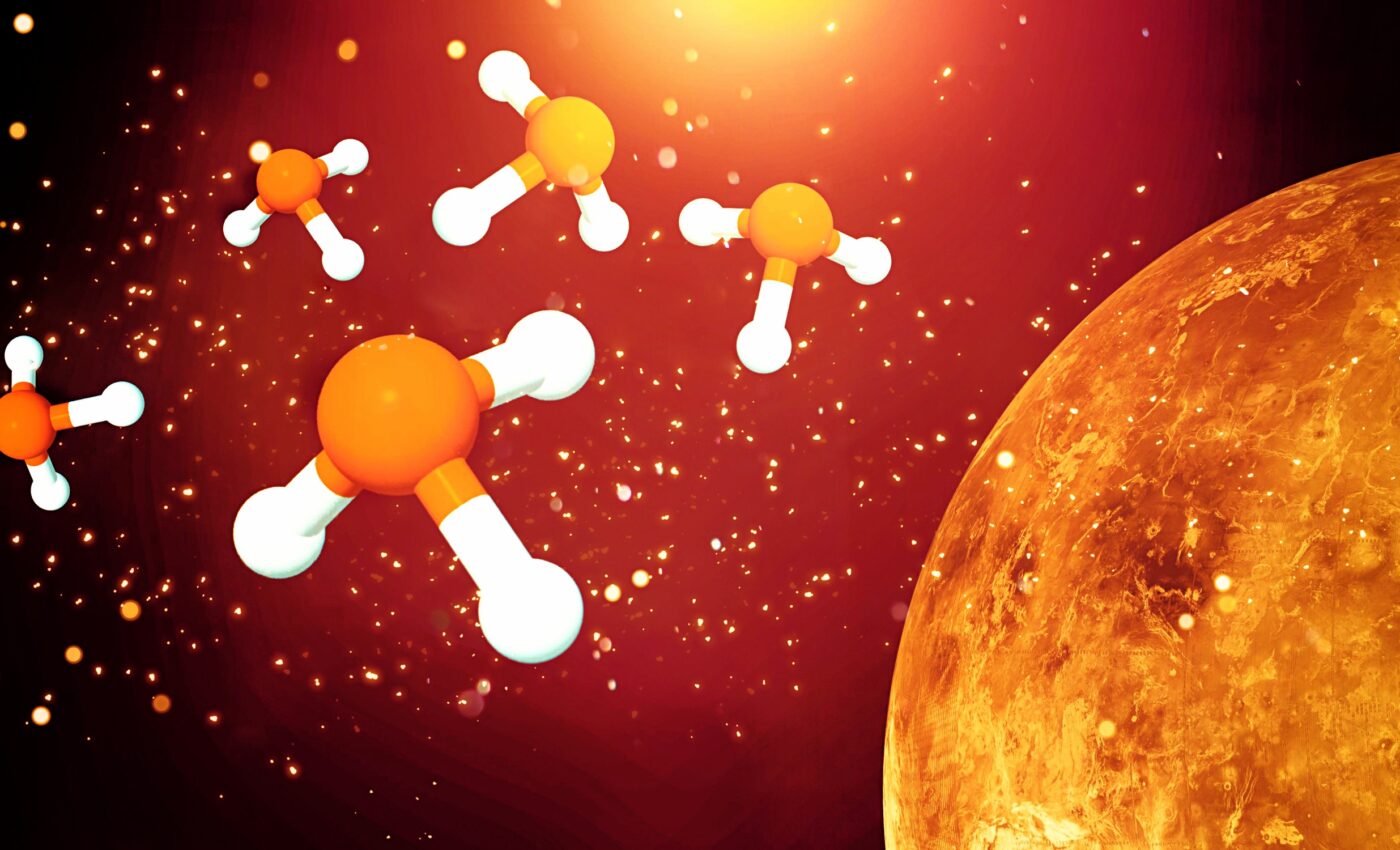 Venus' environment could support certain types of life