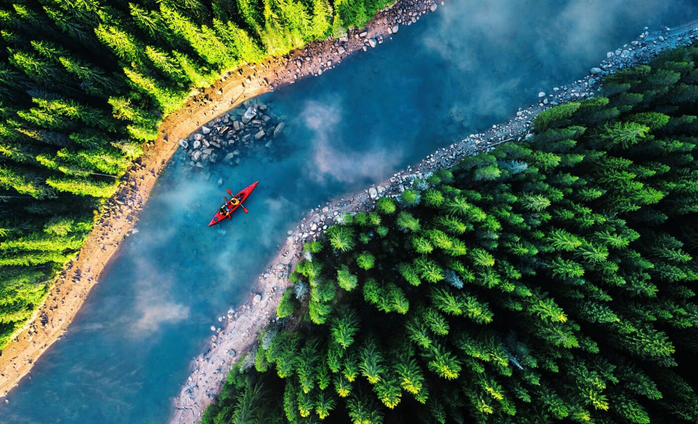 Nature's ecosystems constantly share energy to achieve balance