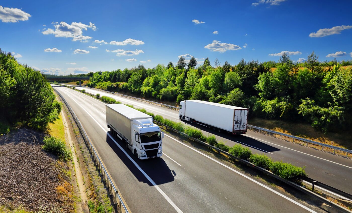 Trees and bushes near highways improve air quality