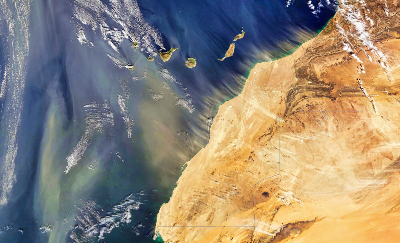 Sahara desert dust storms carry harmful bacteria and fungi around the globe