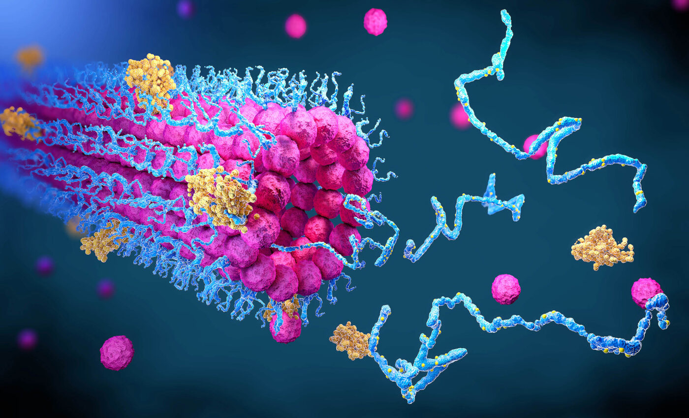 "Junk proteins" are responsible for aging and probably cause ALS