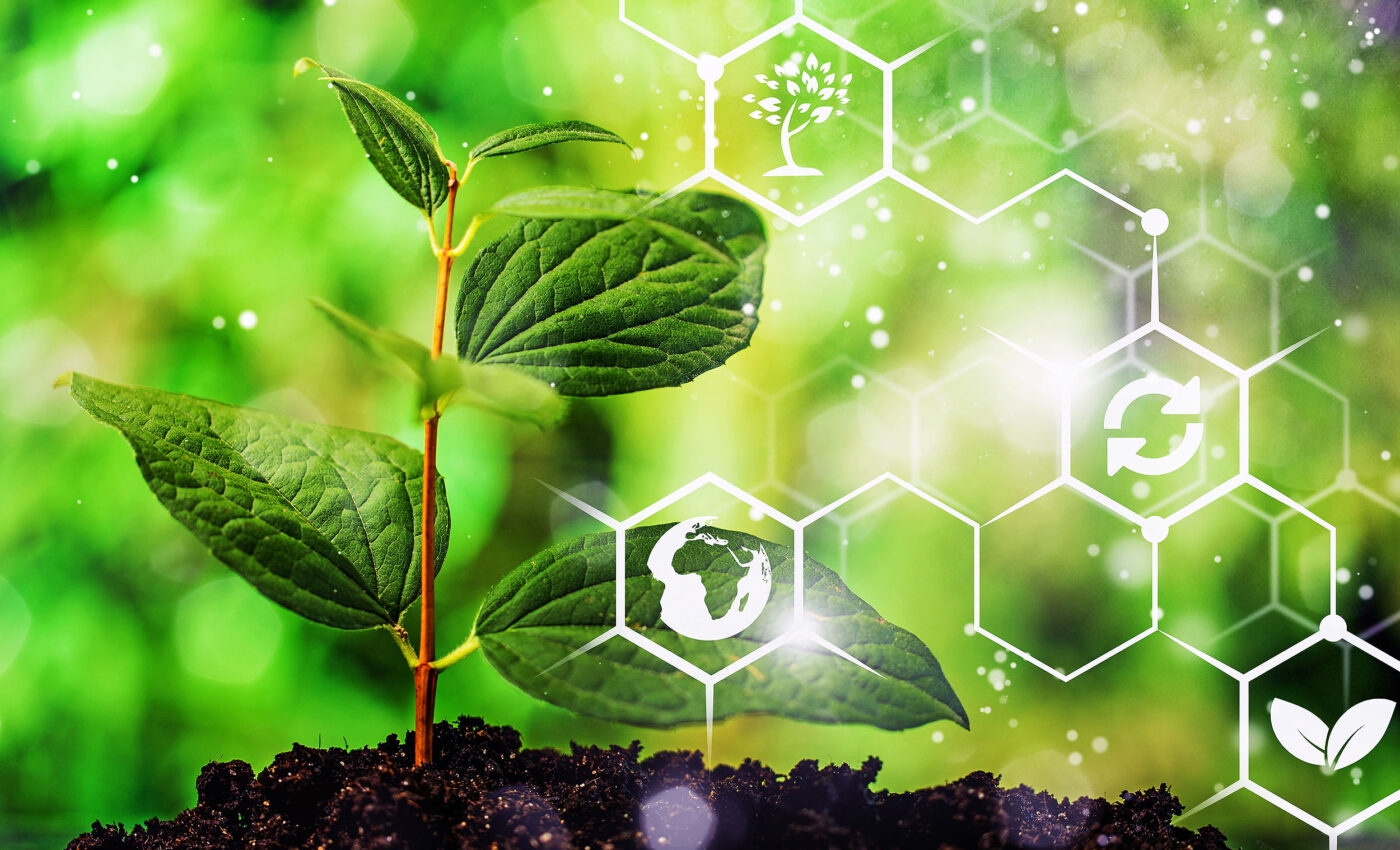 Plants have an astonishing biochemical communication network