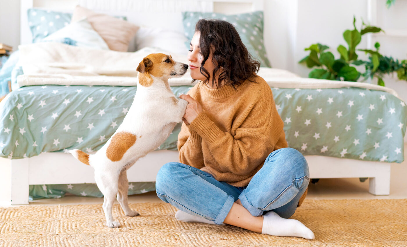 Dogs can detect humans' stress levels by smelling their breath