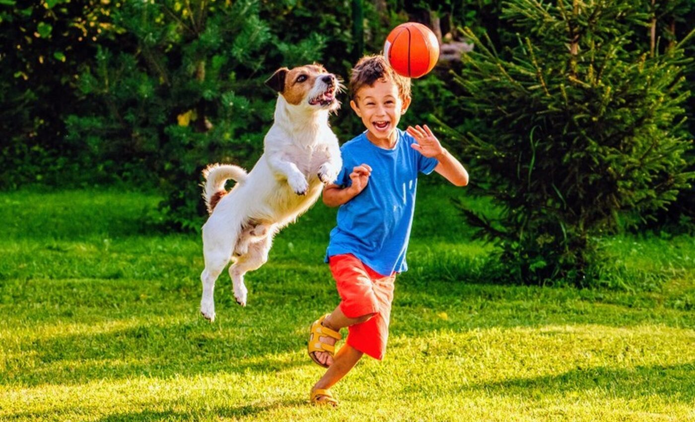 Family dogs boost children’s physical activity levels