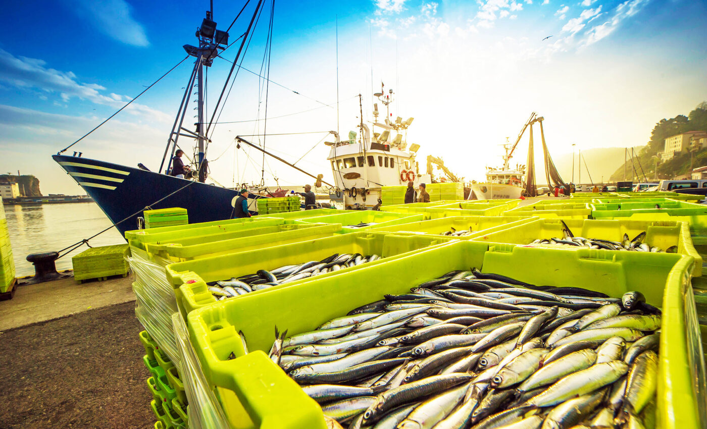 What exactly is 'destructive fishing'? Time for a clear definition