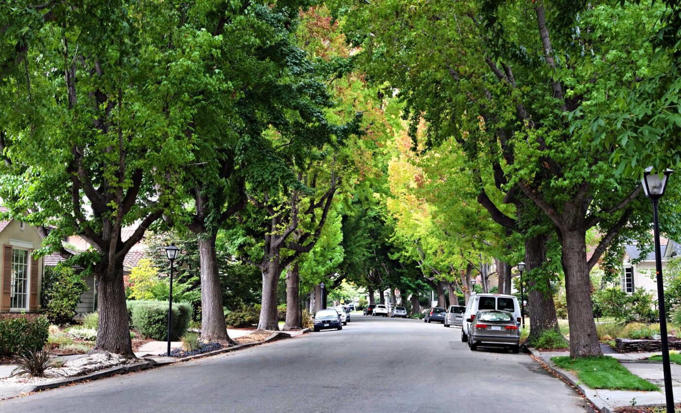 Green environments and sidewalks improve heart health