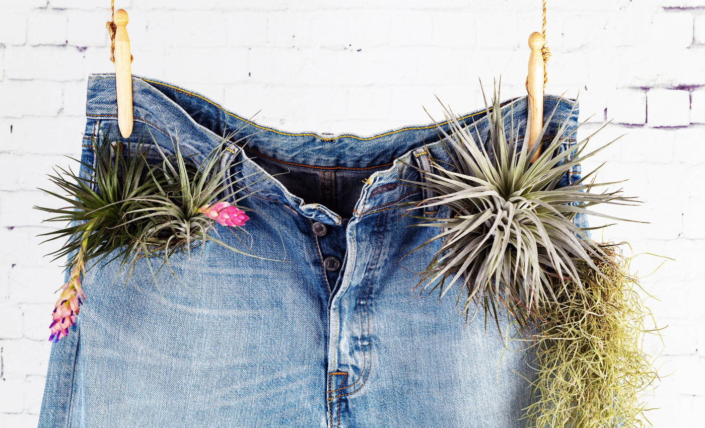 Why fast fashion jeans are bad for the environment