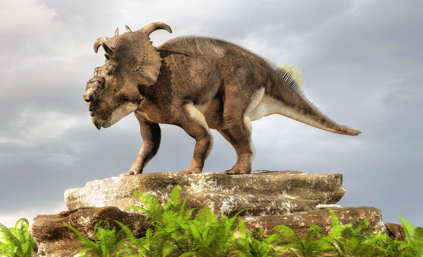 Dinosaurs debunk a classic climate theory called 'Bergmann's rule'