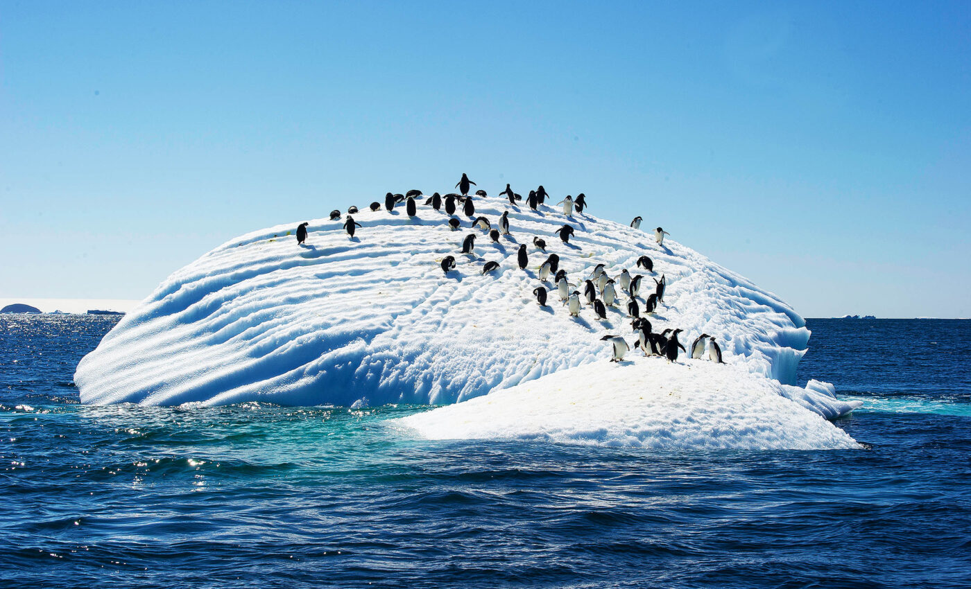 Microplastics pollution in Antarctica is much worse than previously believed