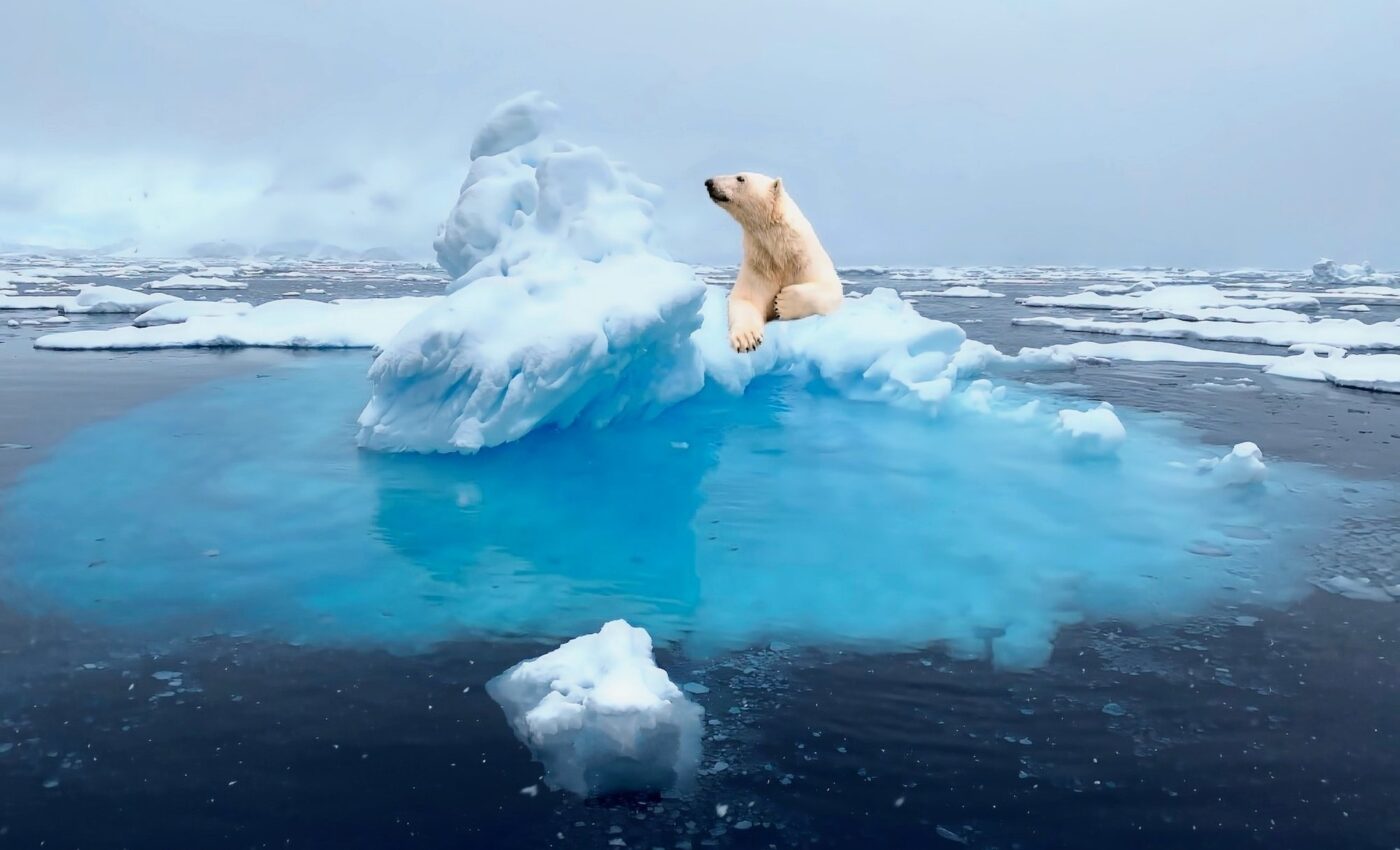 Biden policy aims to block Arctic oil drilling for conservation