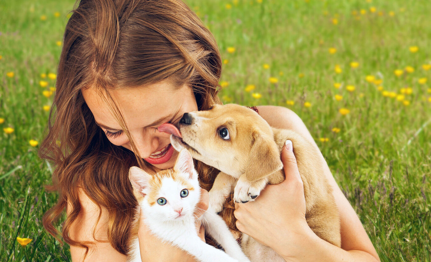 Antibiotic-resistant 'superbugs' are being passed from pets to humans