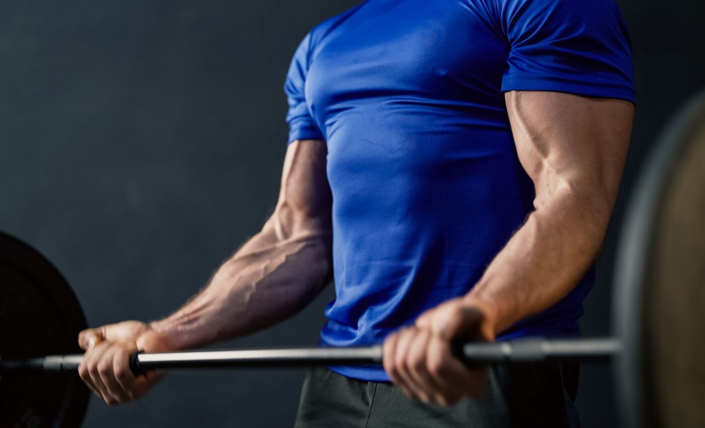 Muscles defy aging with remarkable resilience